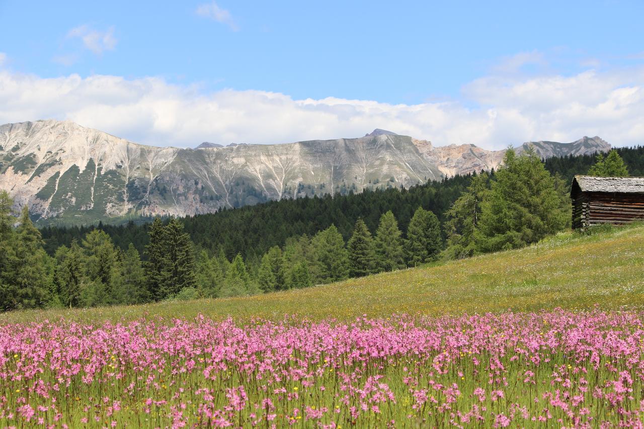Hotel Alpenrose Dolomites Ла-Валле Экстерьер фото